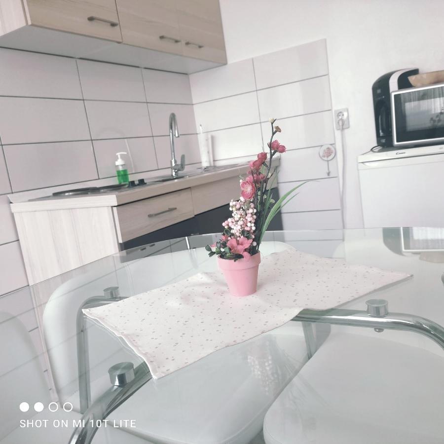 Studio Apartman Valentina Velika Mlaka エクステリア 写真