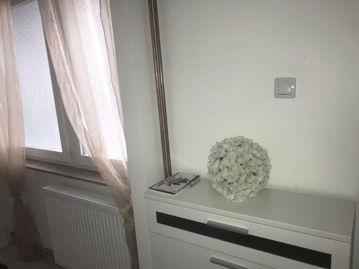Studio Apartman Valentina Velika Mlaka エクステリア 写真